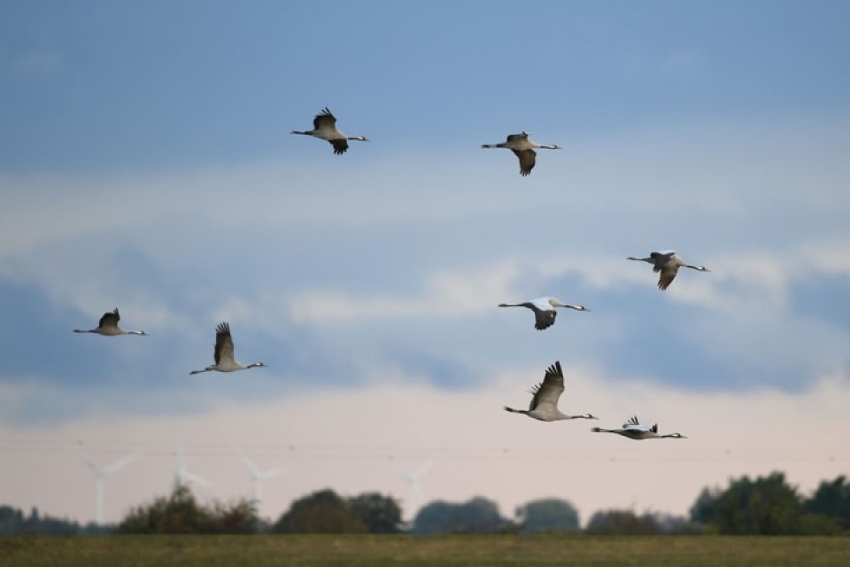 muong thu ngan ngo duoi tiet troi thu dep nao long