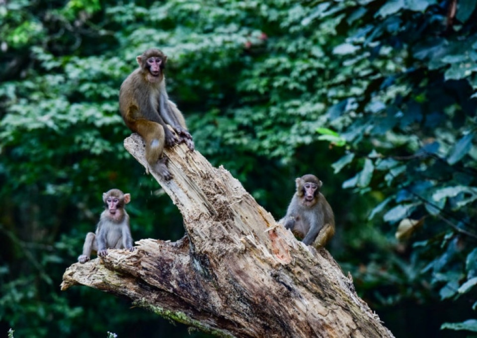 muong thu ngan ngo duoi tiet troi thu dep nao long