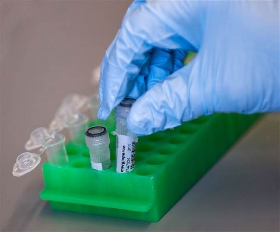 tim ra phuong phap phau thuat tren dna chinh sua cac gene bi loi