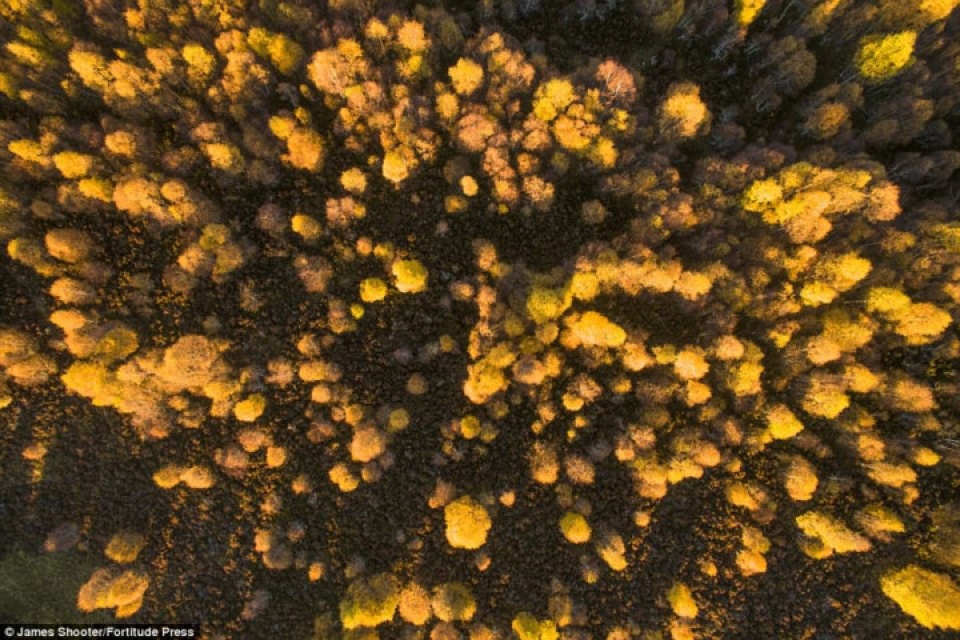 canh mua thu tuyet dep o scotland nhin tu tren cao