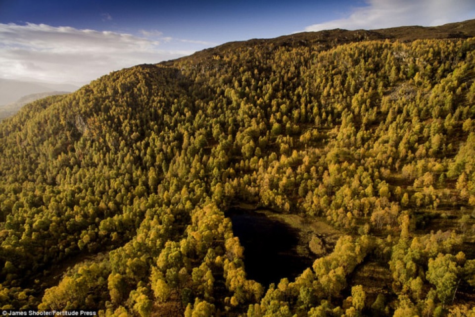 canh mua thu tuyet dep o scotland nhin tu tren cao