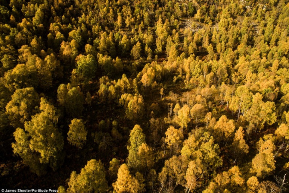 canh mua thu tuyet dep o scotland nhin tu tren cao