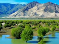 elon musk chia se hinh anh dau tien ve sieu duong ham giao thong