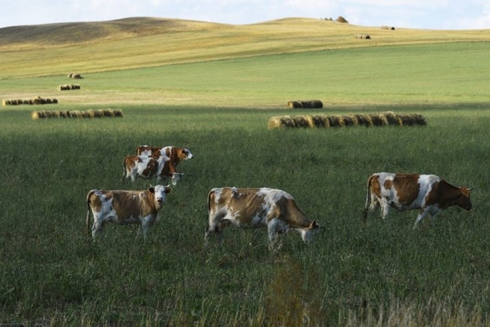 Ngắm Thu vàng đẹp mê ly của nước Nga thang 10 ve ngam ve dep me ly cua mua thu nuoc nga