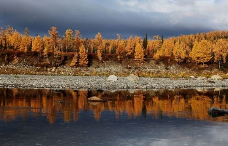 Ngắm Thu vàng đẹp mê ly của nước Nga