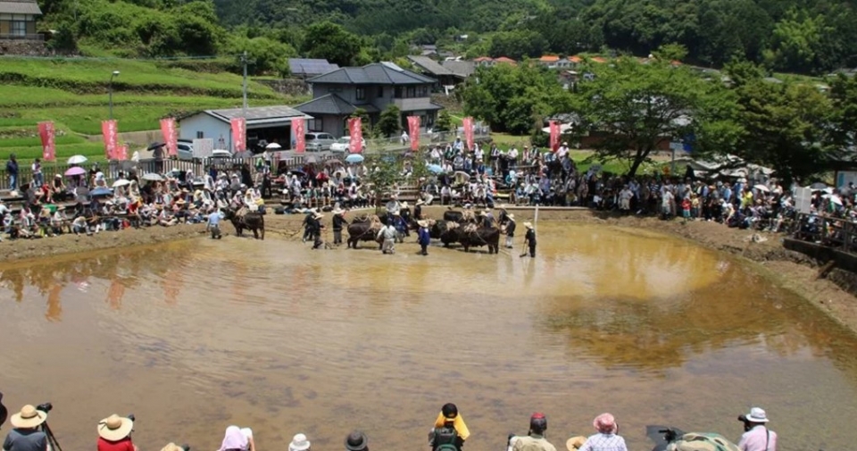 lang que nhat ban chat vat duy tri le hoi co