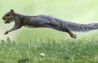 cham diem suat an hang khong qua 600 chuyen bay