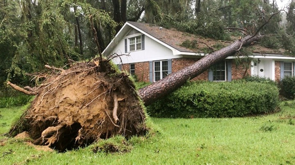 kinh hoang canh tuong tan hoang khi sieu bao michael can quet qua my