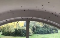 thanh pho my ban nha voi gia 1 usd