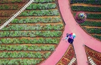 Những góc ảnh đẹp của nhiếp ảnh gia Việt Nam tại giải ảnh quốc tế