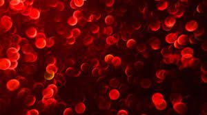 mau nhan tao co the duoc truyen cho tat ca cac nhom mau