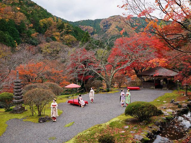 anh dan luoi tai viet nam lot top 10 tai cuoc thi anh quoc te