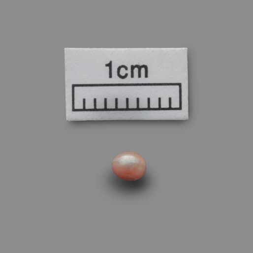 vien ngoc trai co nhat the gioi trung bay tai abu dhabi