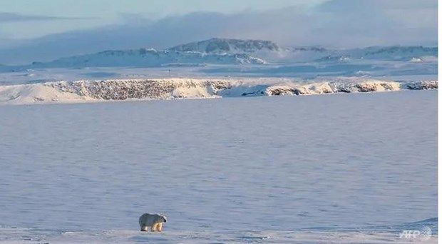 nga bat ngo phat hien 5 hon dao moi o bac cuc nho bang tan