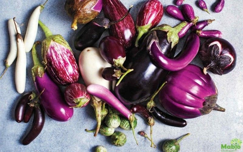 8 loai trai cay giup giam can