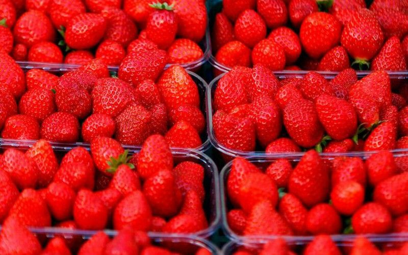 8 loai trai cay giup giam can