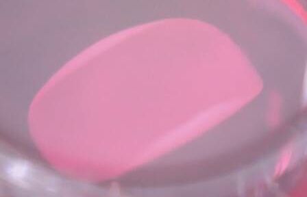 Các nhà khoa học Nhật Bản xin phép thử nghiệm chữa bệnh tim bằng tế bào gốc