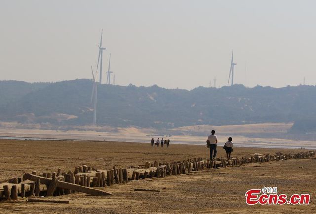 cau da 400 nam tuoi dot ngot lo dien khi nuoc ho ha thap