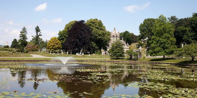 ben trong nghia trang cua gioi nha giau