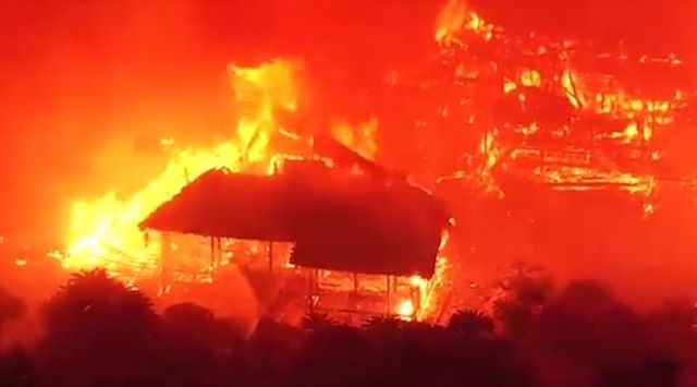 hoa hoan kinh hoang nhan chim lau dai di san 600 tuoi o nhat ban