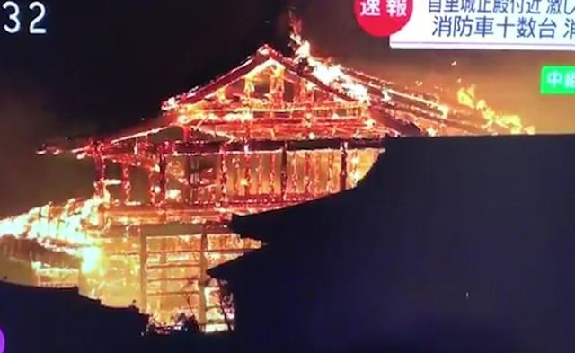 hoa hoan kinh hoang nhan chim lau dai di san 600 tuoi o nhat ban