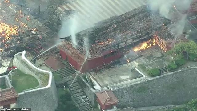 hoa hoan kinh hoang nhan chim lau dai di san 600 tuoi o nhat ban