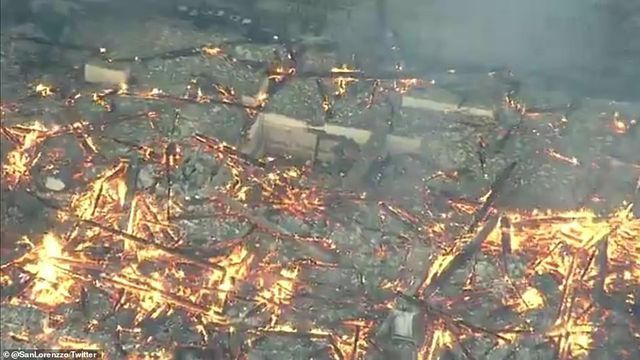 hoa hoan kinh hoang nhan chim lau dai di san 600 tuoi o nhat ban