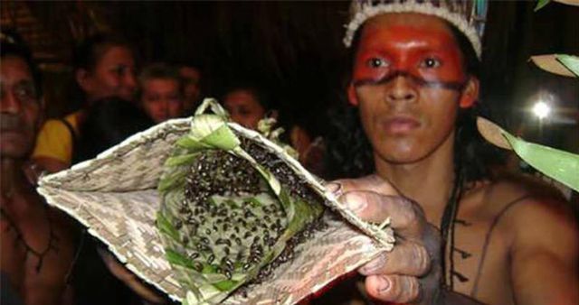 cam khoc khi kien dan can de chung to ban linh nguoi dan ong truong thanh