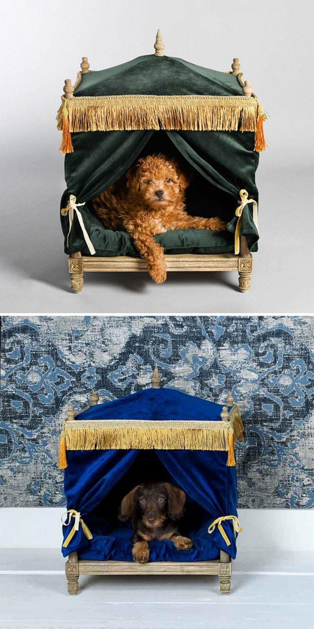 Những thiết kế giường nằm sang chảnh cho thú cưng của bạn nhung thiet ke giuong nam sang chanh cho thu cung cua ban