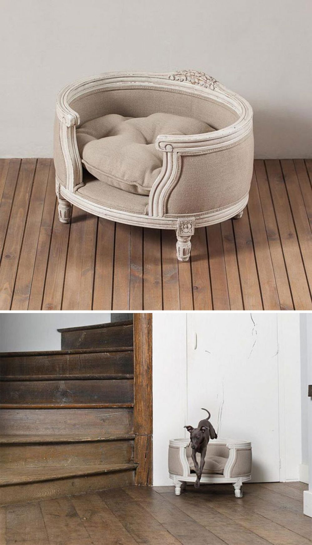 Những thiết kế giường nằm sang chảnh cho thú cưng của bạn nhung thiet ke giuong nam sang chanh cho thu cung cua ban