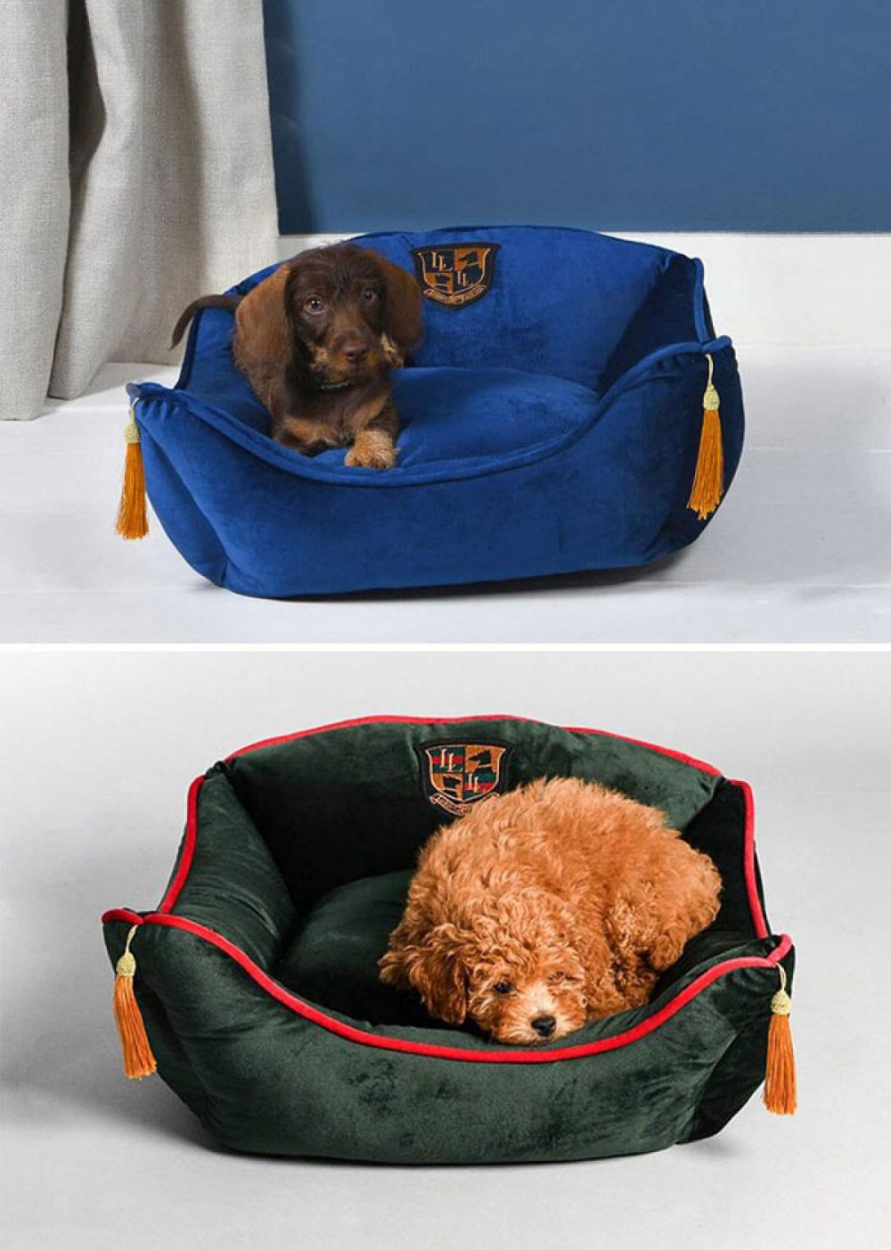 Những thiết kế giường nằm sang chảnh cho thú cưng của bạn nhung thiet ke giuong nam sang chanh cho thu cung cua ban