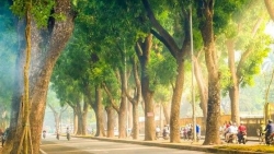 Dự báo thời tiết đêm nay và ngày mai (22-23/10): Bắc Bộ lạnh về đêm và sáng sớm; Trung Bộ mưa dông rải rác, ngày nắng