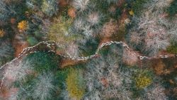 Ngoạn mục những bức ảnh chụp từ trên cao, kỳ ảo đến khó tin