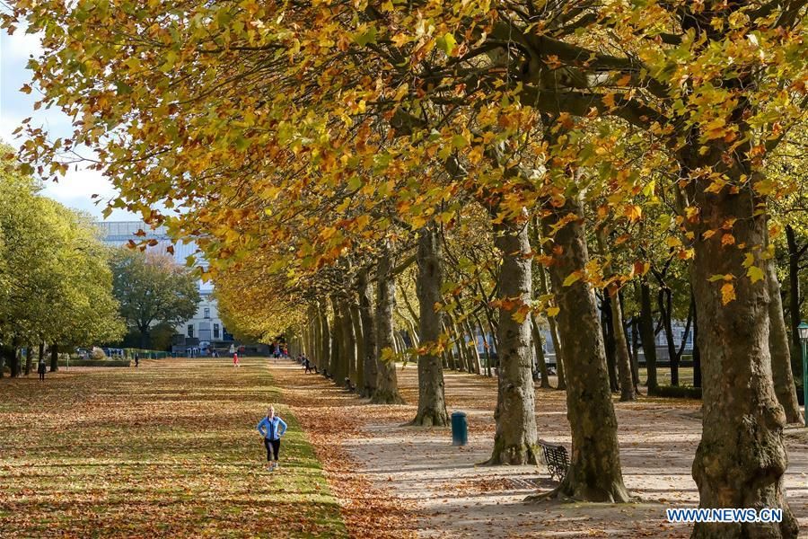 dam minh trong canh dep mua thu ngap sac vang o chau au