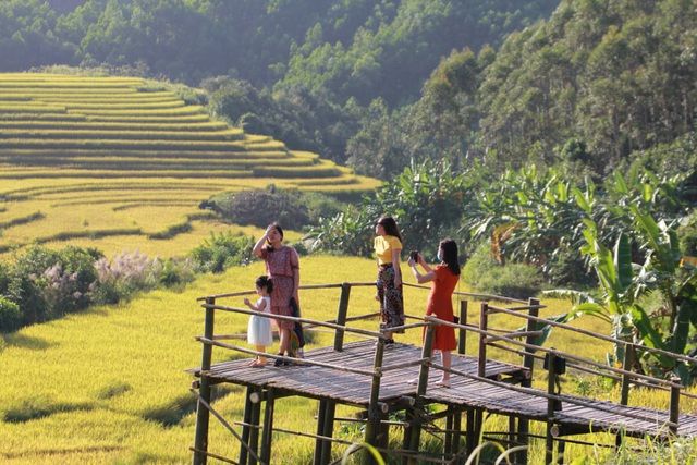 Về vùng cao Tiên Yên, Quảng Ninh ngắm ruộng bậc thang rực rỡ mùa lúa chín