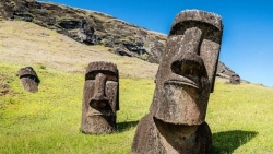 Bí ẩn vị trí đặt tượng 'moai' trên đảo Phục Sinh