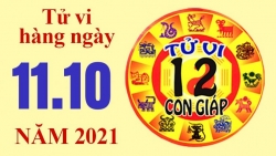 Tử vi hôm nay, xem tử vi 12 con giáp 11/10/2021: Tuổi Ngọ công việc không thuận lợi