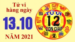 Tử vi hôm nay, xem tử vi 12 con giáp 13/10/2021: Tuổi Hợi công việc thuận buồm xuôi gió