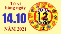 Tử vi hôm nay, xem tử vi 12 con giáp 14/10/2021: Tuổi Ngọ được yêu quý