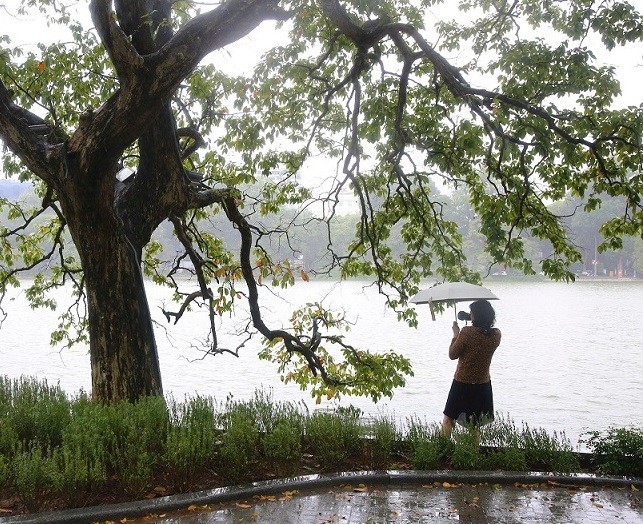 Dự báo thời tiết: Không khí lạnh tăng cường, cuối tuần miền Bắc mưa rét; phía Nam Nghệ An đến Quảng Trị mưa to cục bộ Dự báo thời tiết: Không khí lạnh tăng cường, cuối tuần miền Bắc mưa rét; phía Nam Nghệ An đến Quảng Trị mưa to cục bộ