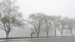Dự báo thời tiết 10 ngày (15-25/1): Hà Nội và Bắc Bộ sáng sớm có sương mù, trời rét, có nơi rét đậm; Tây Nguyên, Nam Bộ chiều tối và đêm có mưa rào