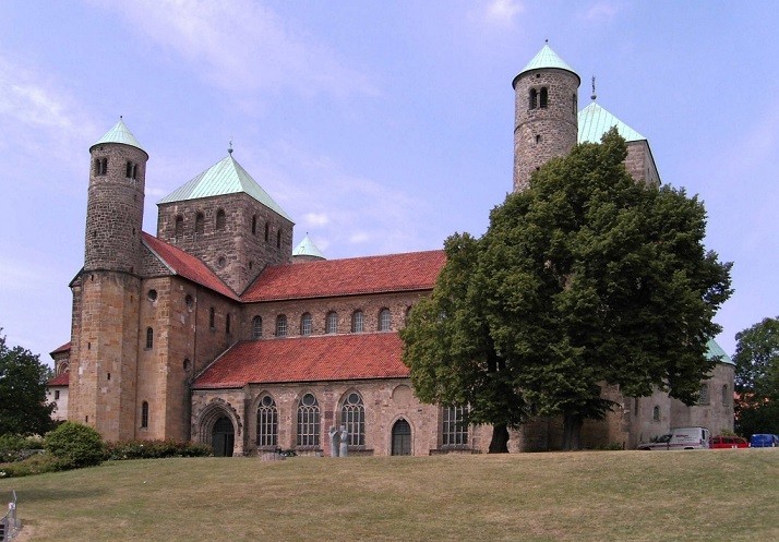 Đức: Bụi hồng leo cánh đơn cổ thụ gần nghìn năm tuổi nở hoa đều hàng năm