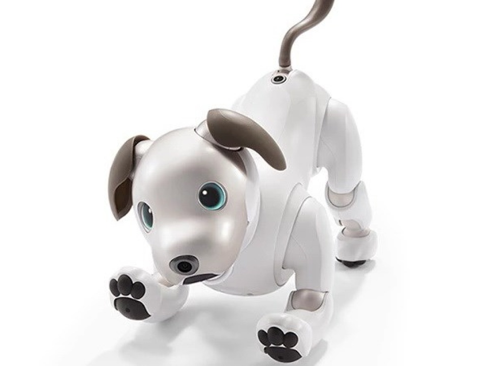 sony tai sinh robot cun cung aibo de don chao nam tuat 2018