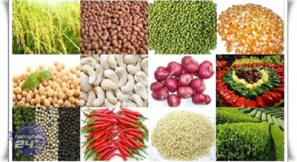 loi giai nao cho bai toan nong san viet