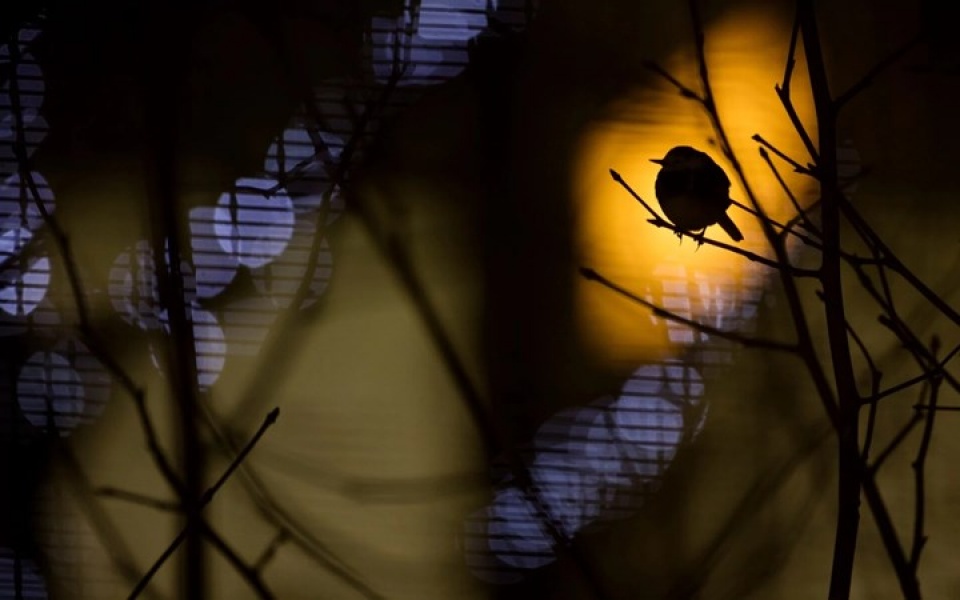 nhung buc anh thien nhien hoang da dep nhat tai anh