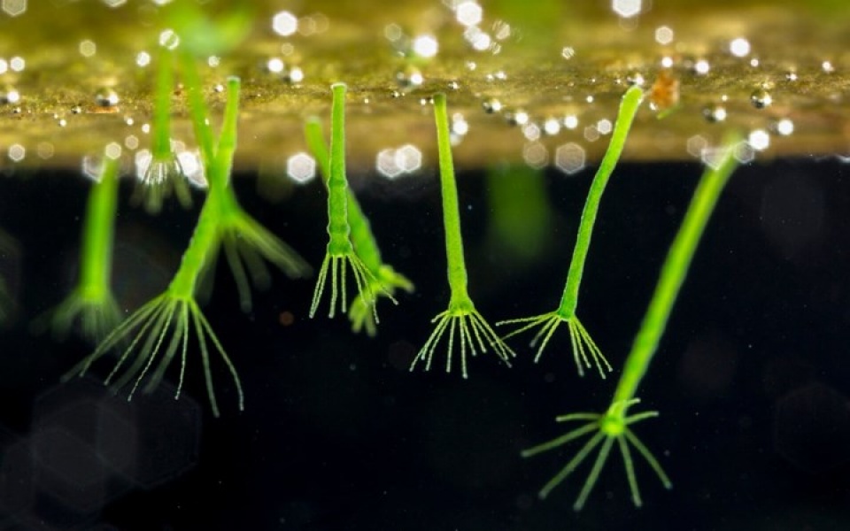 nhung buc anh thien nhien hoang da dep nhat tai anh