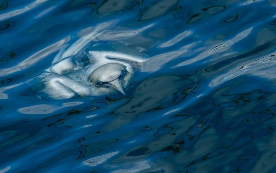 nhung buc anh thien nhien hoang da dep nhat tai anh