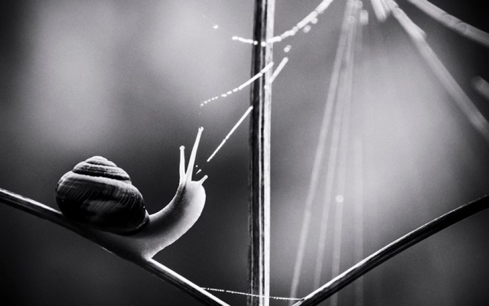 nhung buc anh thien nhien hoang da dep nhat tai anh