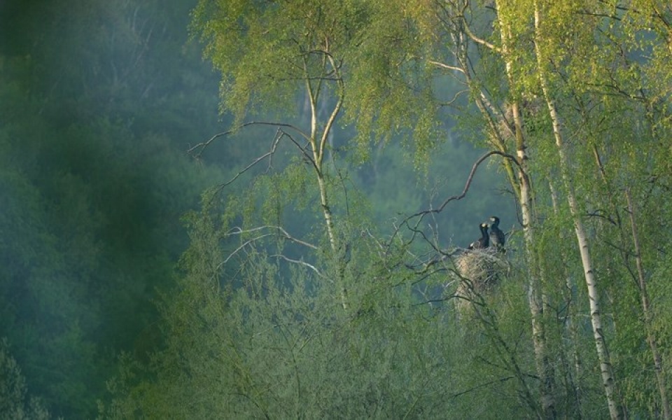 nhung buc anh thien nhien hoang da dep nhat tai anh