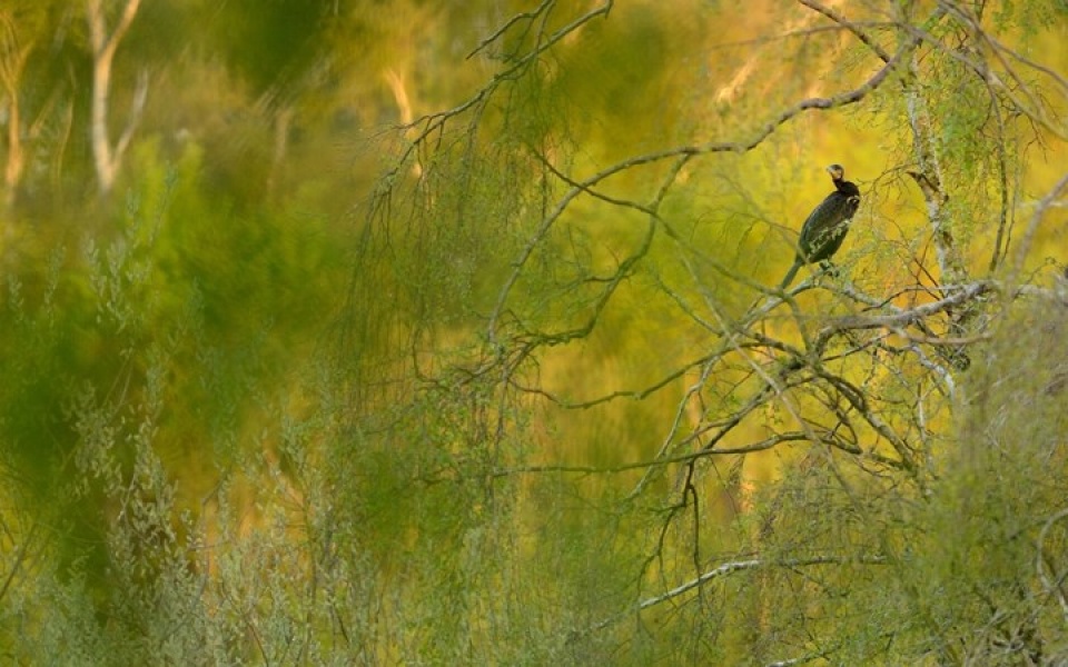 nhung buc anh thien nhien hoang da dep nhat tai anh